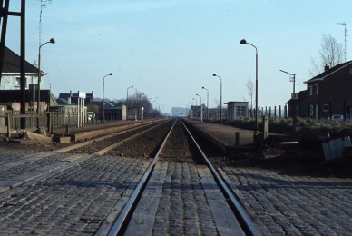 Baasrode-Zuid - TH 81-720.jpg